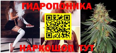 spice Бузулук