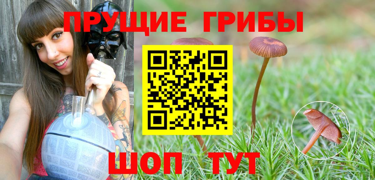 купить наркоту  Вход с VPN  Междуреченск  Галлюциногенные грибы мицелий 